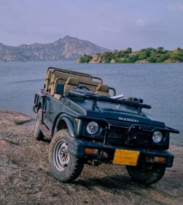 Jawai Leopard Safari Tour